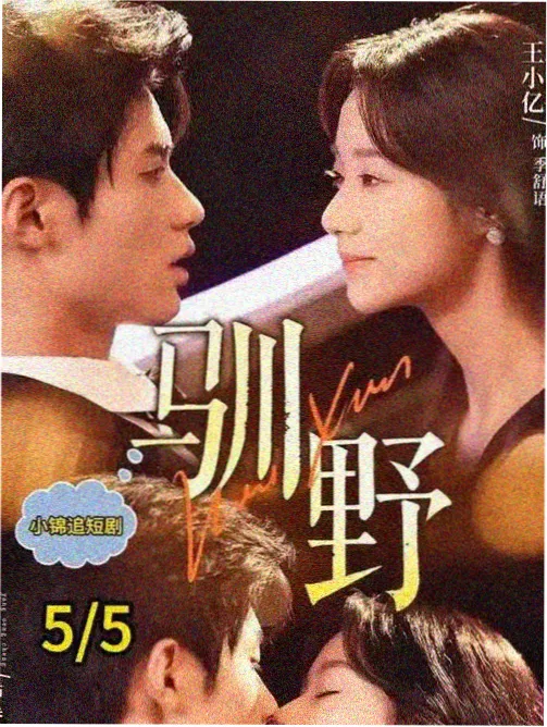 海边的房间剧集海报